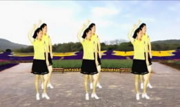 广场舞视频,广场舞视频中的活力与和谐