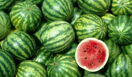 中国吃瓜爆料群有哪些名字,中国吃瓜爆料群，揭秘那些鲜为人知的群名背后的故事