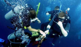 潜水视频,揭秘神秘海底世界